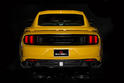 Saleen S302 Black Label 8