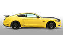 Sutton Ford Mustang 10