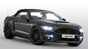 Sutton Ford Mustang 14