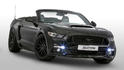 Sutton Ford Mustang 2