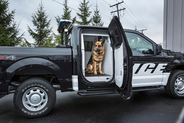 Ford F150 Police Car Revealed