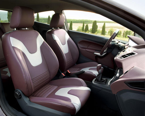 Ford Fiesta Individual