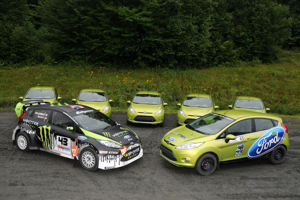 Ford Fiesta Rally School