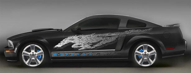 Mustang Wild Pony Project