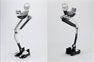 Honda Walking Assist Device