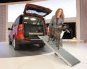 Dog friendly Honda Element 2