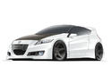 Mugen Euro Honda CR Z 1