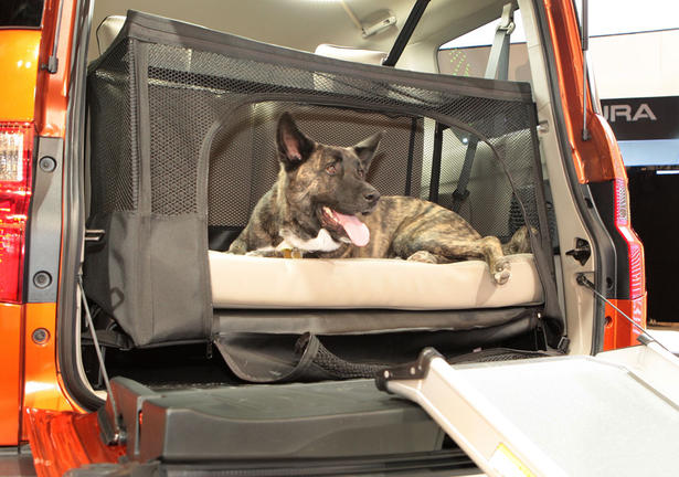Dog friendly Honda Element