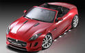Piecha Jaguar F Type 1