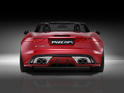Piecha Jaguar F Type 7