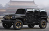 Jeep Wrangler Dragon