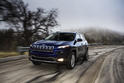 2014 Jeep Cherokee 29
