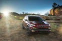 2014 Jeep Cherokee 8