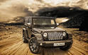 Vilner Jeep Wrangler 11