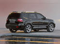 Kia Borrego Limited 7