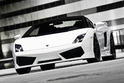 BF performance Lamborghini Gallardo LP560 4 15