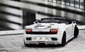 BF performance Lamborghini Gallardo LP560 4 6