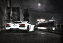 Capristo Lamborghini Aventador 18