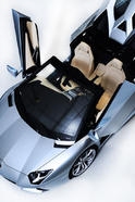 Lamborghini Aventador Roadster 29