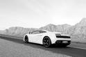 Lamborghini Gallardo LP560 4 25