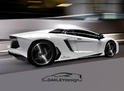 Oakley Design Lamborghini Aventador 3