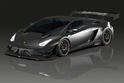 Reiter Lamborghini Gallardo FL2 GT3 Extenso 1