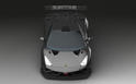 Reiter Lamborghini Gallardo FL2 GT3 Extenso 8