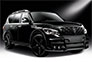 Larte Infiniti QX80