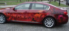 Lexus Paintjob