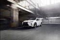 2016 Lexus RX 15