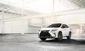 2016 Lexus RX 23