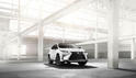 2016 Lexus RX 41