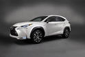Lexus NX 23