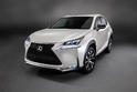 Lexus NX 24