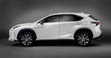 Lexus NX 26