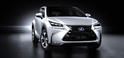 Lexus NX 47