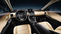 Lexus NX 48