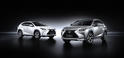 Lexus NX 5