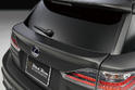 Wald International Lexus CT 200h 9