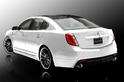 Raceskinz 2009 Lincoln MKS