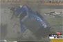 Video: Massive Audi Crash In DTM