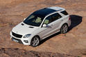 2012 Mercedes ML 40