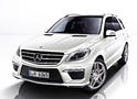 2012 Mercedes ML63 AMG 12