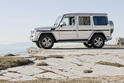 2013 Mercedes Benz G Class 14