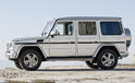 2013 Mercedes Benz G Class 15