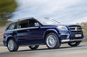 2013 Mercedes GL 18