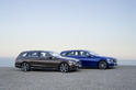 2015 Mercedes C Class Estate 32