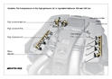 AMG 55 V8 biturbo engine 24
