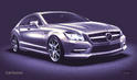 Carlsson 2011 Mercedes CLS 4