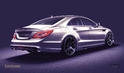 Carlsson 2011 Mercedes CLS 8